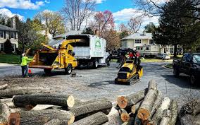 Best Tree Mulching  in Perry, KS